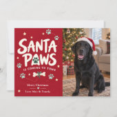 サンタパウズ クリスマス 犬の写真 (正面)