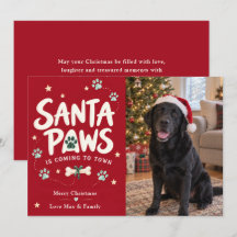 サンタパウズ クリスマス 犬の写真
