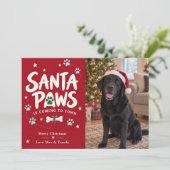 サンタパウズ クリスマス 犬の写真 (スタンド正面)