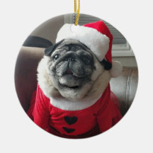 サンタピクルスオーナメント