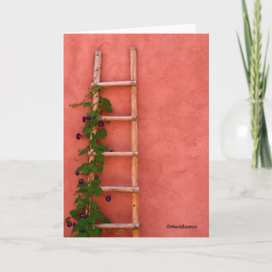 サンタフェの©MarkEaston カード (正面)