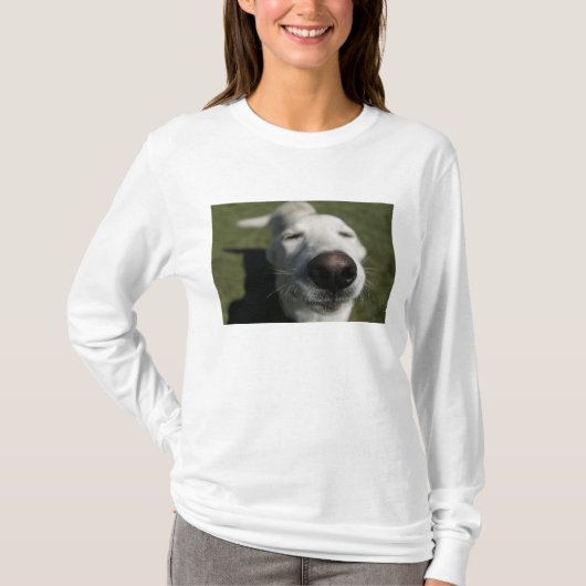 サンタフェ, ニューメキシコ州 Tシャツ (正面)