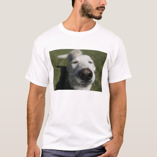サンタフェ、ニューメキシコ州 Tシャツ (正面)