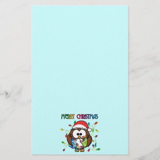 サンタフクロウ&クリスマスライト (正面)