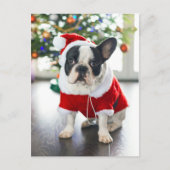 サンタフランスのーの衣装を着たブルドッグ シーズンポストカード (正面)