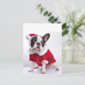 サンタフランスのーの衣装を着たブルドッグ シーズンポストカード (スタンド正面)