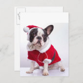 サンタフランスのーの衣装を着たブルドッグ シーズンポストカード (正面/裏面)