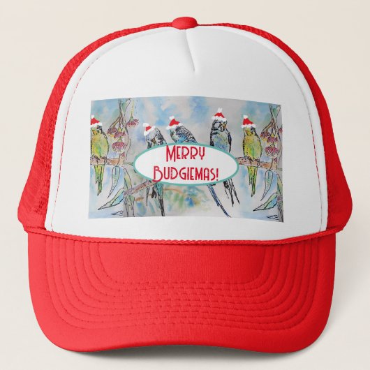 サンタブジクリスマスウォーター絵画カラーの鳥 キャップ (正面)