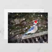 サンタブルージェイ シーズンポストカード (正面/裏面)