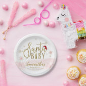 サンタベビークリスマスガール赤ちゃんシャワー ペーパープレート (パーティー)