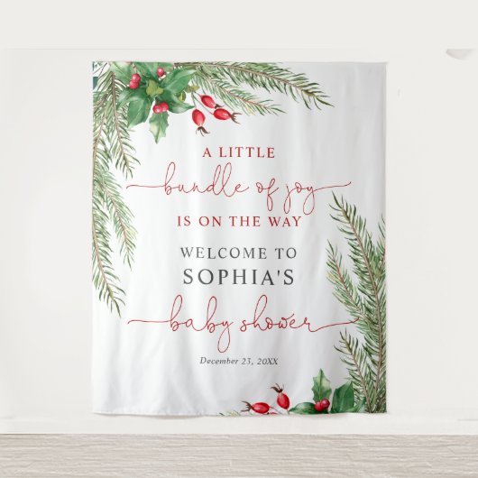 サンタベビークリスマスベビーシャワータペストリー タペストリー (正面)