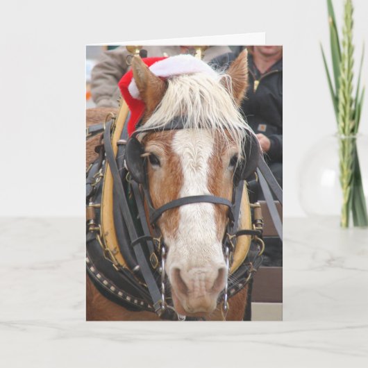 サンタベルギー シーズンカード (正面)