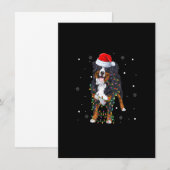 サンタベルニーズマウンテンドッグ クリスマスツリー ライト メリークリスマス 招待状 (正面/裏面)