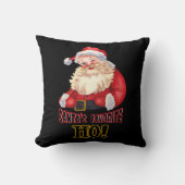 サンタホお気に入りのー クッション (正面)