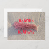 サンタホホホホホメリークリスマスビーチ色 シーズンポストカード (正面/裏面)