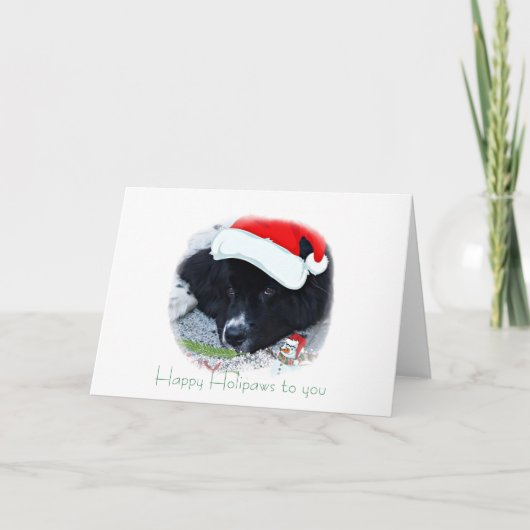 サンタポーズニューファンドランドホリデーギフト シーズンカード (正面)