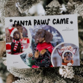 サンタポーズホワイトドッグフォトホリデーカード シーズンカード