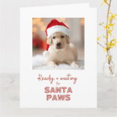 サンタポーズ準備ができて待ち – 犬好きクリスマス カード (黄色い花)