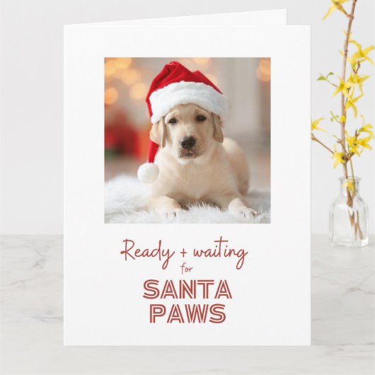 サンタポーズ準備ができて待ち – 犬好きクリスマス カード (黄色い花)