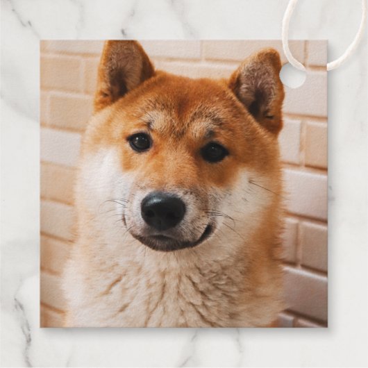 サンタポーズ – 犬からの可愛いホリデーギフトラベル フェイバータグ (裏面)