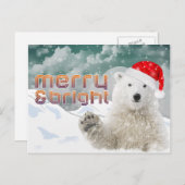 サンタポーラベア |クリスマスポストカード シーズンポストカード (正面/裏面)