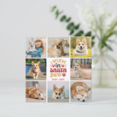 サンタポー信じカードに8枚のコラージュ (スタンド正面)