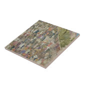 サンタマリアAracoeli、ローマのステップ タイル (側面)