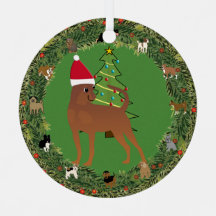 サンタミニチュアピンシャー