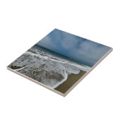 サンタモニカビーチイン秋。 タイル (側面)