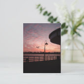 サンタモニカピンク ポストカード (スタンド正面)