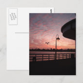 サンタモニカピンク ポストカード (正面/裏面)