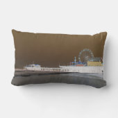 サンタモニカ桟橋の逆グレーブラウン写真編集 ランバークッション (裏面)