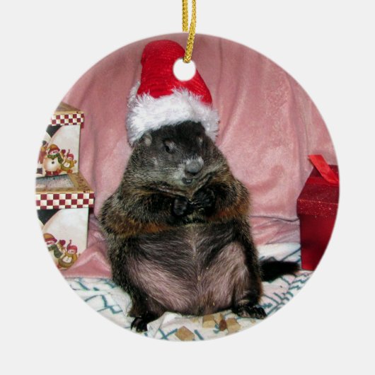 サンタモーゼペットGroundhogのクリスマスのオーナメント セラミックオーナメント (正面)