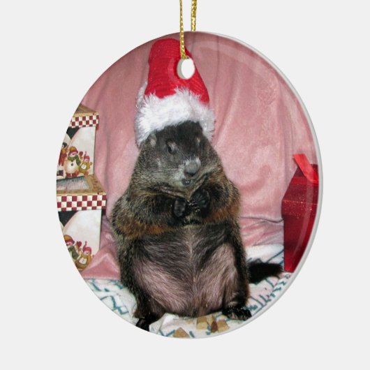 サンタモーゼペットGroundhogのクリスマスのオーナメント セラミックオーナメント (左)