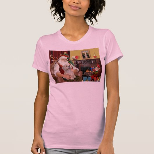 サンタラサアプソ(R2) Tシャツ (正面)