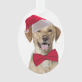 サンタラボクリスマス装飾品 オーナメント (正面)