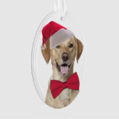 サンタラボクリスマス装飾品 オーナメント (正面)