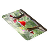 サンタリスがカクテルを飲む マグネット (右側)