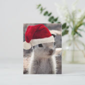 サンタリス葉書 シーズンポストカード (スタンド正面)