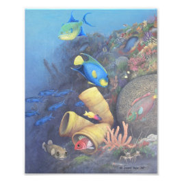 サンタローザウォール1ファインアートプリント フォトプリント           