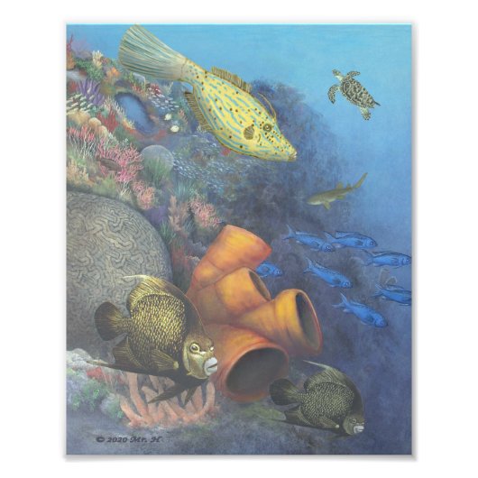 サンタローザウォール2ファインアートプリント フォトプリント            (正面)