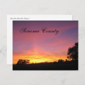 サンタローザサンセット ポストカード (正面/裏面)