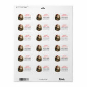 サンタヴィンテージかわいいメリークリスマスの願い ラベル (フルシート)