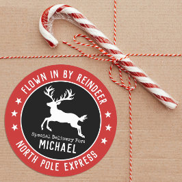 サンタ北極トナカイのクリスマスシール ラウンドシール