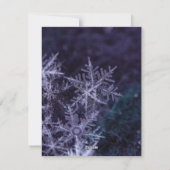 サンタ向けミルクとクッキー シーズンカード (裏面)