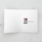 サンタ子猫のクリスマスカード シーズンカード (内部)