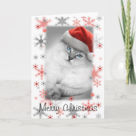 サンタ子猫クリスマスカード シーズンカード