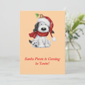 サンタ帽とマフラーをしたかわいいクリスマスの犬 シーズンカード (スタンド正面)