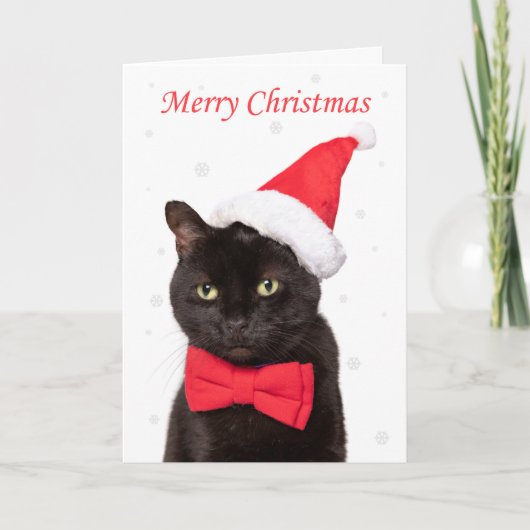 サンタ帽と蝶ネクタイのキュートな猫のクリスマス シーズンカード (正面)