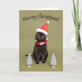 サンタ帽のユーモアあふれる猫 - メリークリスマス シーズンカード